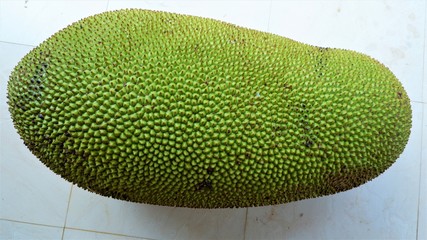 Indian Kerala ripened big jackfruit