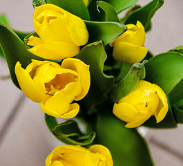 bouquet of yellow tulips top view