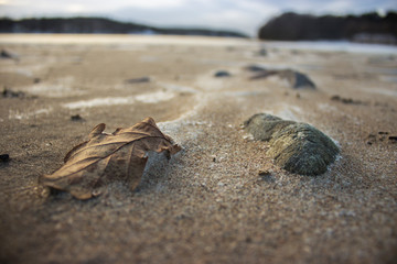 Winter beach