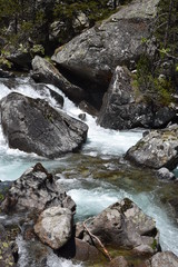 Ruisseau à Cauterets dans les Pyrénées
