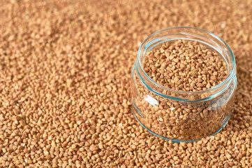 Full glass jar of grain of buckwheat. Agricultural concept