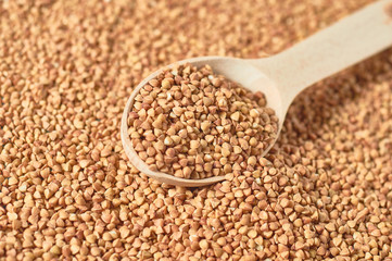 Wooden spoon full of grains of buckwheat. Agricultural concept