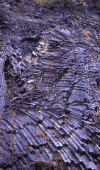 Camargue et Haute-Savoie