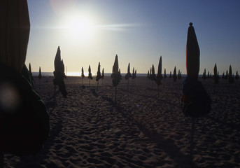 Camargue et Haute-Savoie