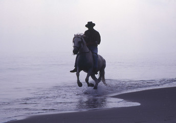 Camargue et Haute-Savoie