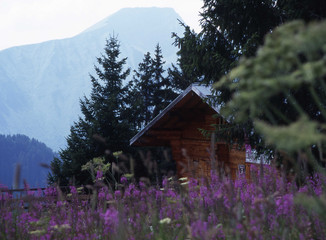Camargue et Haute-Savoie