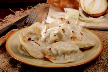 Fototapeta na wymiar dumplings stuffed with meat, topped with fat and fried onions