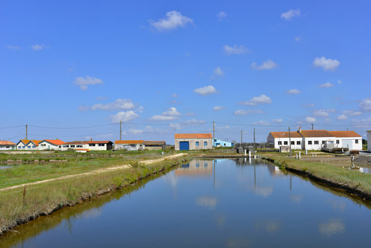Bassin horticole face aux remparts de Brouage (17320 Marennes-Hiers-Brouage), d&eacute;partement de la Charente-Maritime en r&eacute;gion Nouvelle-Aquitaine, France