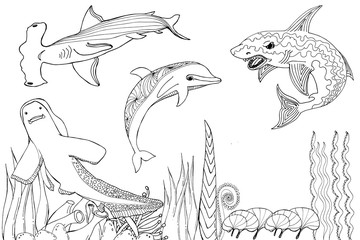 shark. Coloring book. Hand drawing coloring book for children and adults. Beautiful drawings with patterns and small details.