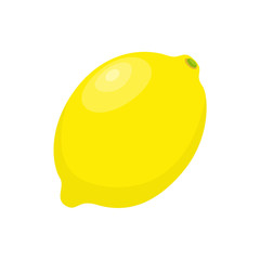 Yellow lemon vector icon illustration isolated on white background. Lemon icon.
