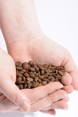 Two hands holding fresh roasted coffee beans with a white background. Dried coffee beans.
