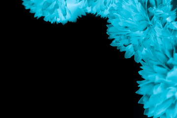 Beautiful abstract color black and blue flowers on black background and dark graphic white flower frame and blue leaves texture, blue background, colorful graphics banner 