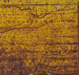 Fototapeta premium yellow container