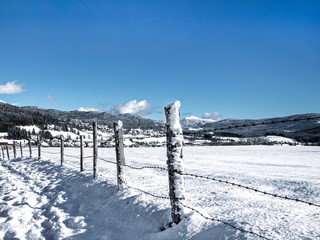 Spazierweg in Österreich