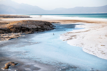 Traditional harvest of the salt in Lake Assal