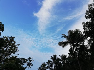 Blue sky