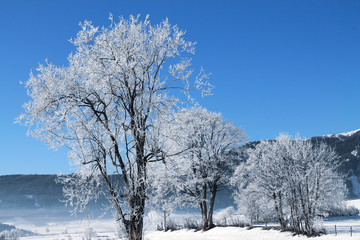 Frostlandschaft in Österreich