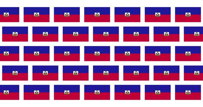 Haiti Flag Loop Background
