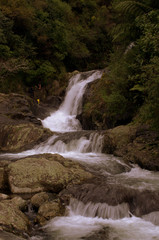 Fototapeta na wymiar Kaiate Falls, also known as Te Rerekawau Falls in Tauranga , New Zealand