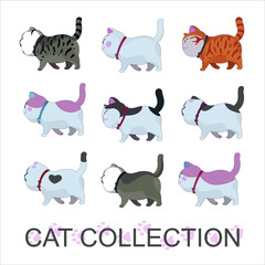 Collect various cute pet cats.