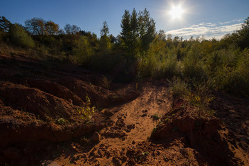 Landschaft mit Bäumen und Steinen