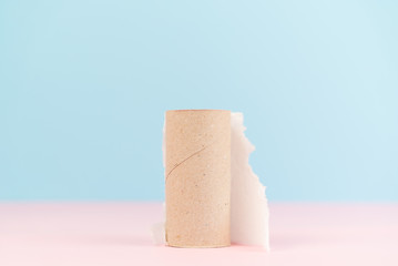 Conceptual image of finished toilet paper roll standing alone.