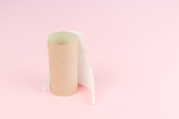Conceptual image of finished toilet paper roll standing alone.
