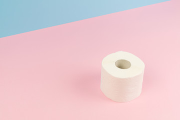 Conceptual image of toilet paper roll standing alone.