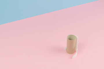 Conceptual image of finished toilet paper roll standing alone.