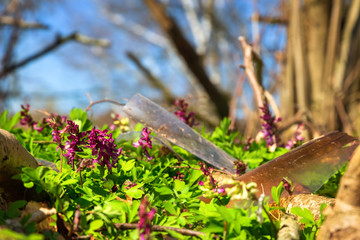 Fototapete bei efototapeten.de bestellen   