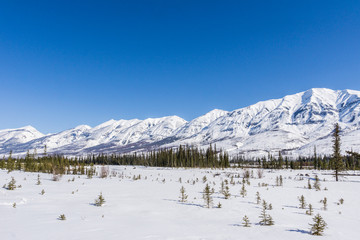 Fototapeta na wymiar Winter landscape large open space in snow mountain range Alberta Canada.
