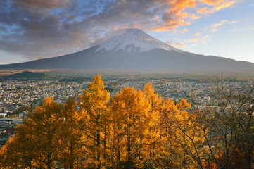 Japan autumn .Yellow and orange tree leaves on sunny fall day. mt.Fuji