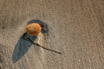 abstract drawing in the sand