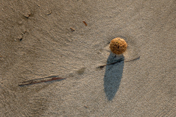 abstract drawing in the sand