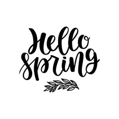 Naklejka premium Hello spring postcard. Seasonal lettering. Ink illustration. Modern brush calligraphy. Isolated on white background. Hand lettering.