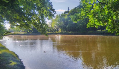 Staw w parku. © Szadam1959