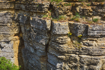 In the rocks - Felsengärten Hessigheim - South of Germany - behind the vignards