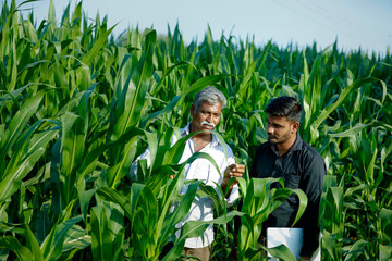 young indian farmer with agronomist at corn field