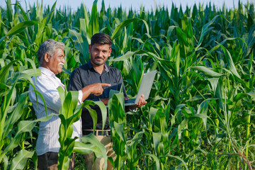 young indian farmer with agronomist at corn field
