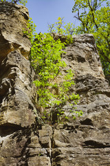 In the rocks - Felsengärten Hessigheim - South of Germany - behind the vignards