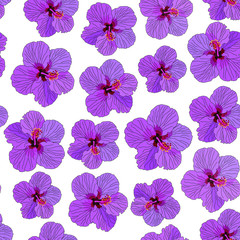 Fototapeta na wymiar Hibiscus pink flowers seamless pattern white background vector illustration