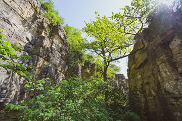 In the rocks - Felsengärten Hessigheim - South of Germany - behind the vignards