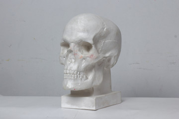 classical plaster head skull bust against a white, old, worn wall.