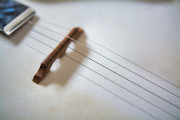 The Bridge of an Old Banjo