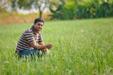 Naklejka na ściany i meble indian farmer at onion field