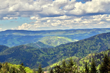 Fototapeta na wymiar Blick vom Hinterwaldkopf auf den Schwarzwald im Frühling