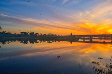 A beautiful landscape of River Island Majuli.