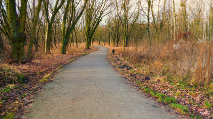 Park im. A. Mickiewicza w Łodzi