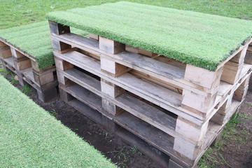 Eco-friendly furniture made of pallets. Table and seats made of pallets

