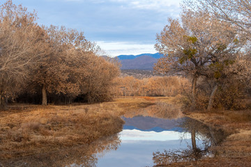 Landscape of small river, winter trees and moutains